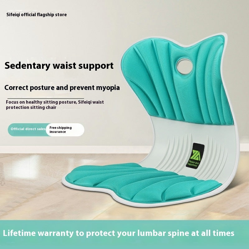 Waist Support And Posture Correction Cushion Ergonomic